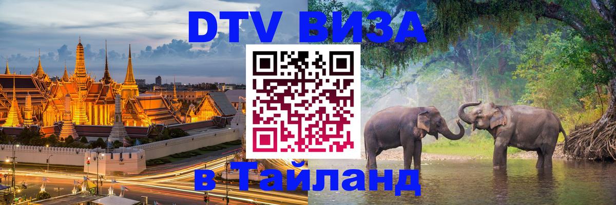 Оформление DTV визы под ключ: стоимость и тарифы, только загранпаспорт - 06.12.2025 